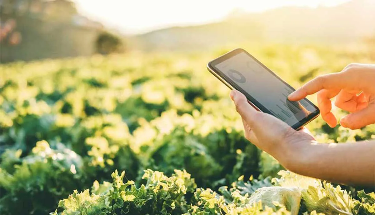 person holding tablet in field