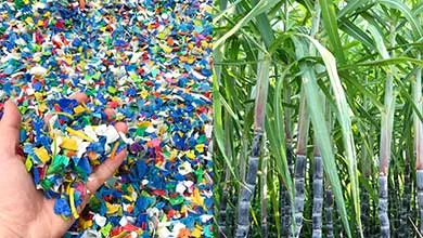 Collage of plastic debris and bamboo trees